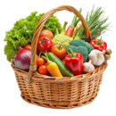 VEGETABLE  - 100Kcal